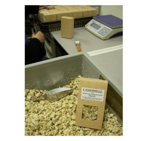 ABBAYE D'AIGUEBELLE - Baies de genièvre