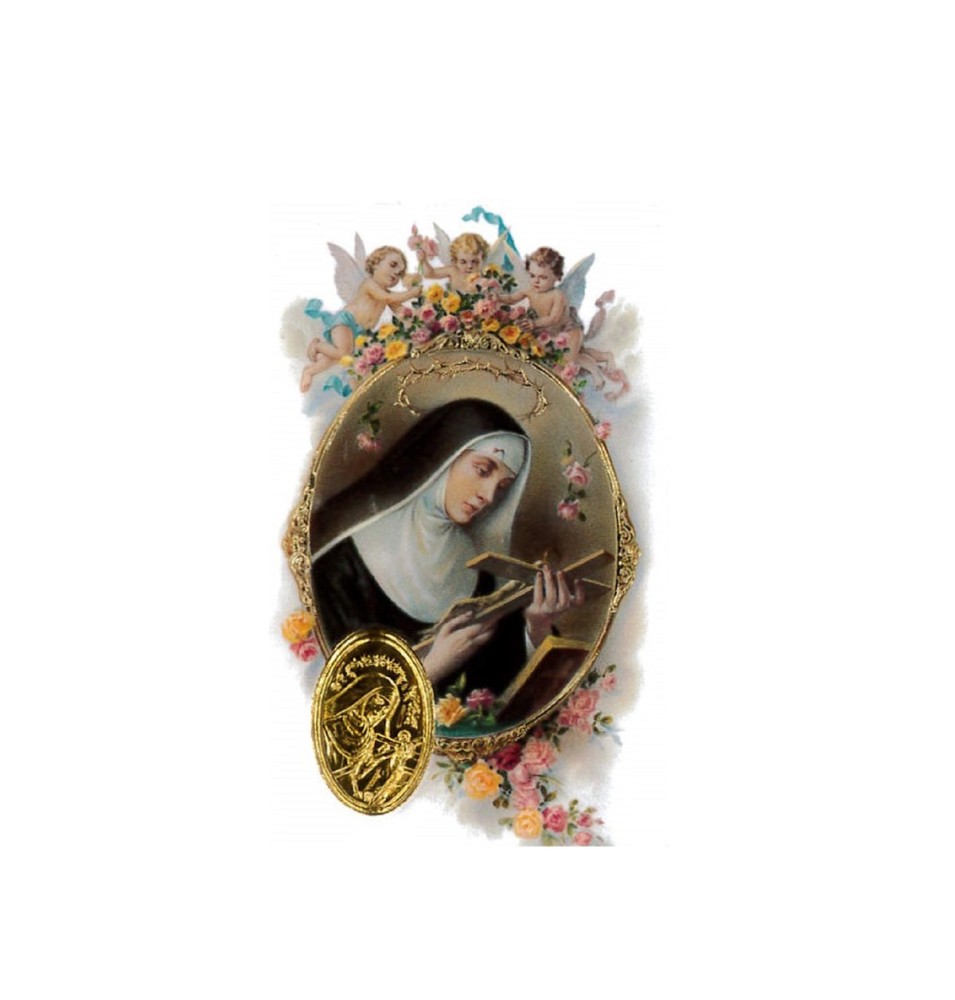 Carte plastifiée avec prière et poinçon Saint François