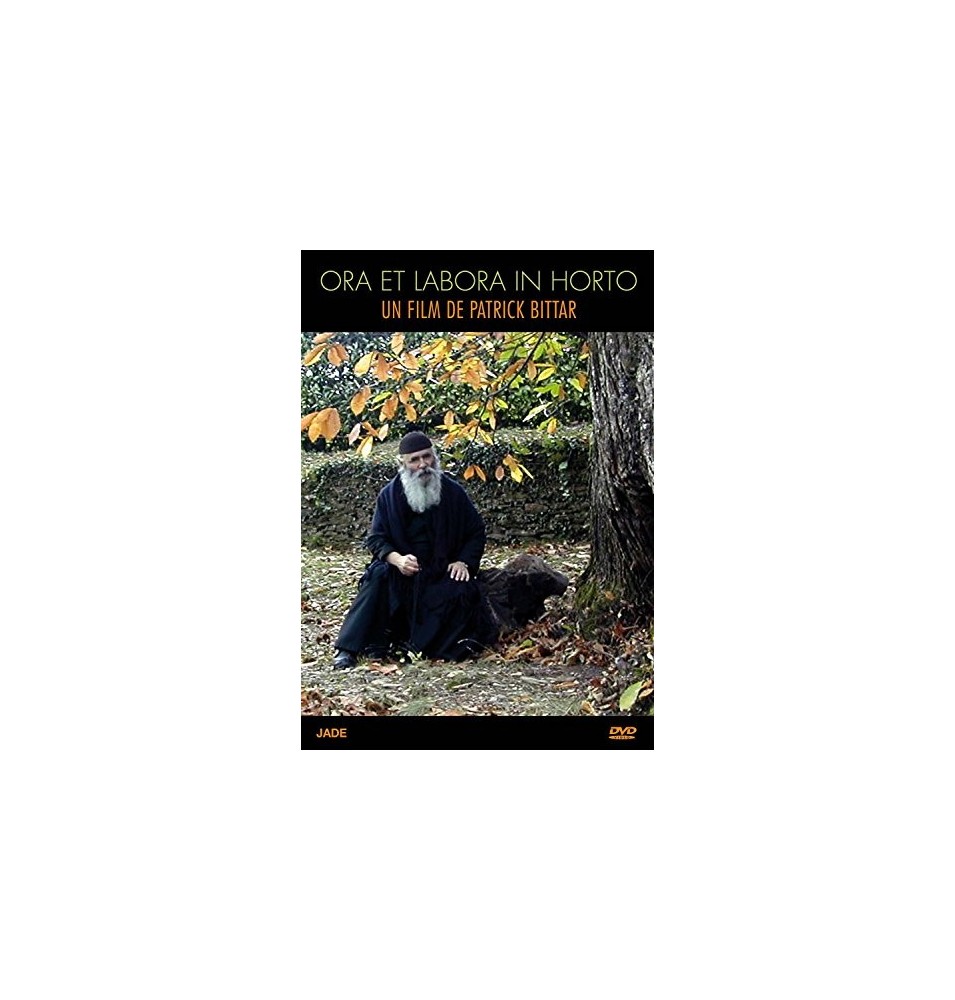 Solutions locales pour un désordre global (DVD)