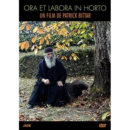 Solutions locales pour un désordre global (DVD)