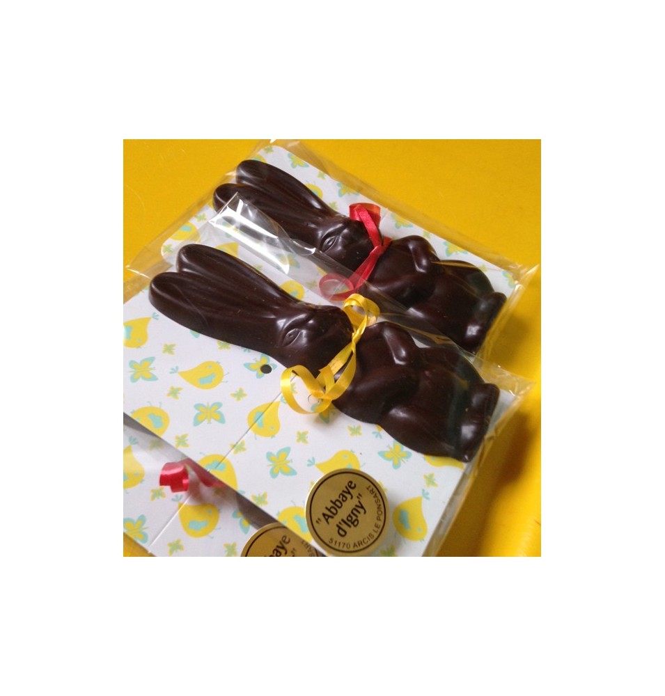 Lapin de pâques au chocolat au lait