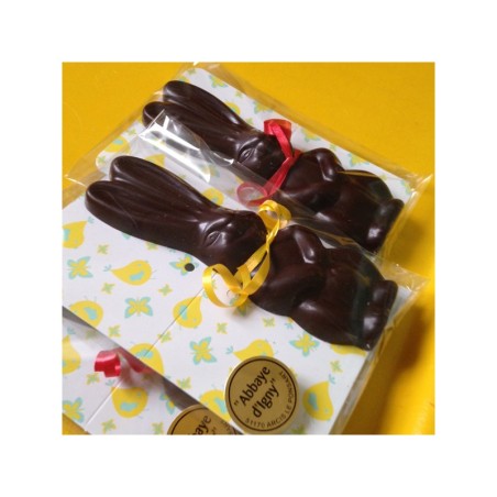 Lapin de pâques au chocolat au lait