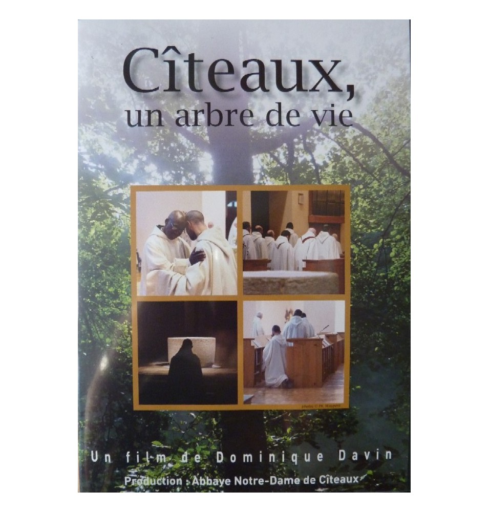 Solutions locales pour un désordre global (DVD)