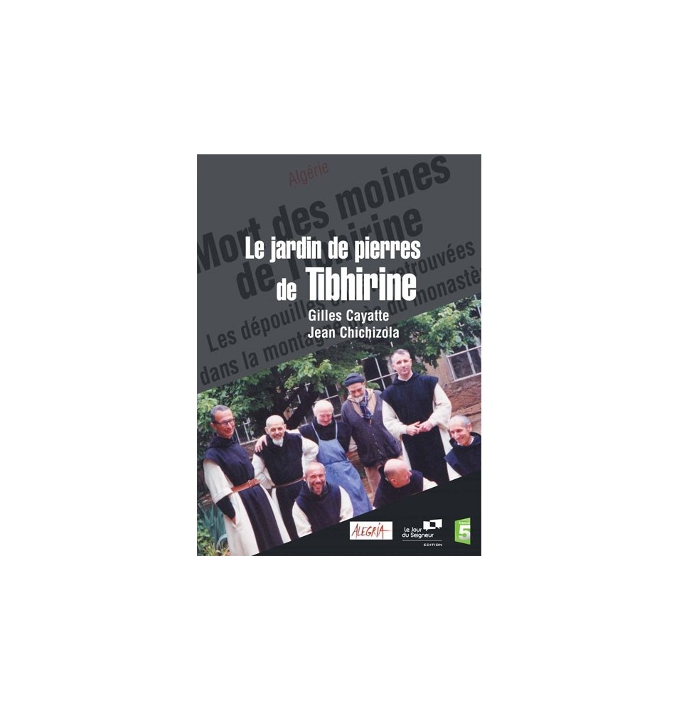 Solutions locales pour un désordre global (DVD)