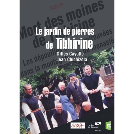 Solutions locales pour un désordre global (DVD)