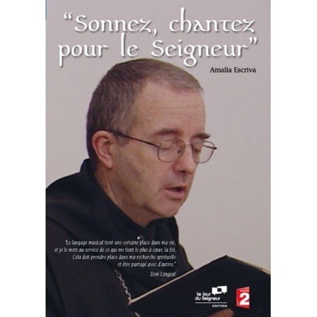 Solutions locales pour un désordre global (DVD)