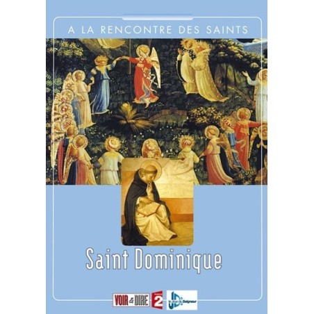 Solutions locales pour un désordre global (DVD)