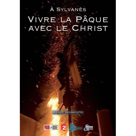 Solutions locales pour un désordre global (DVD)