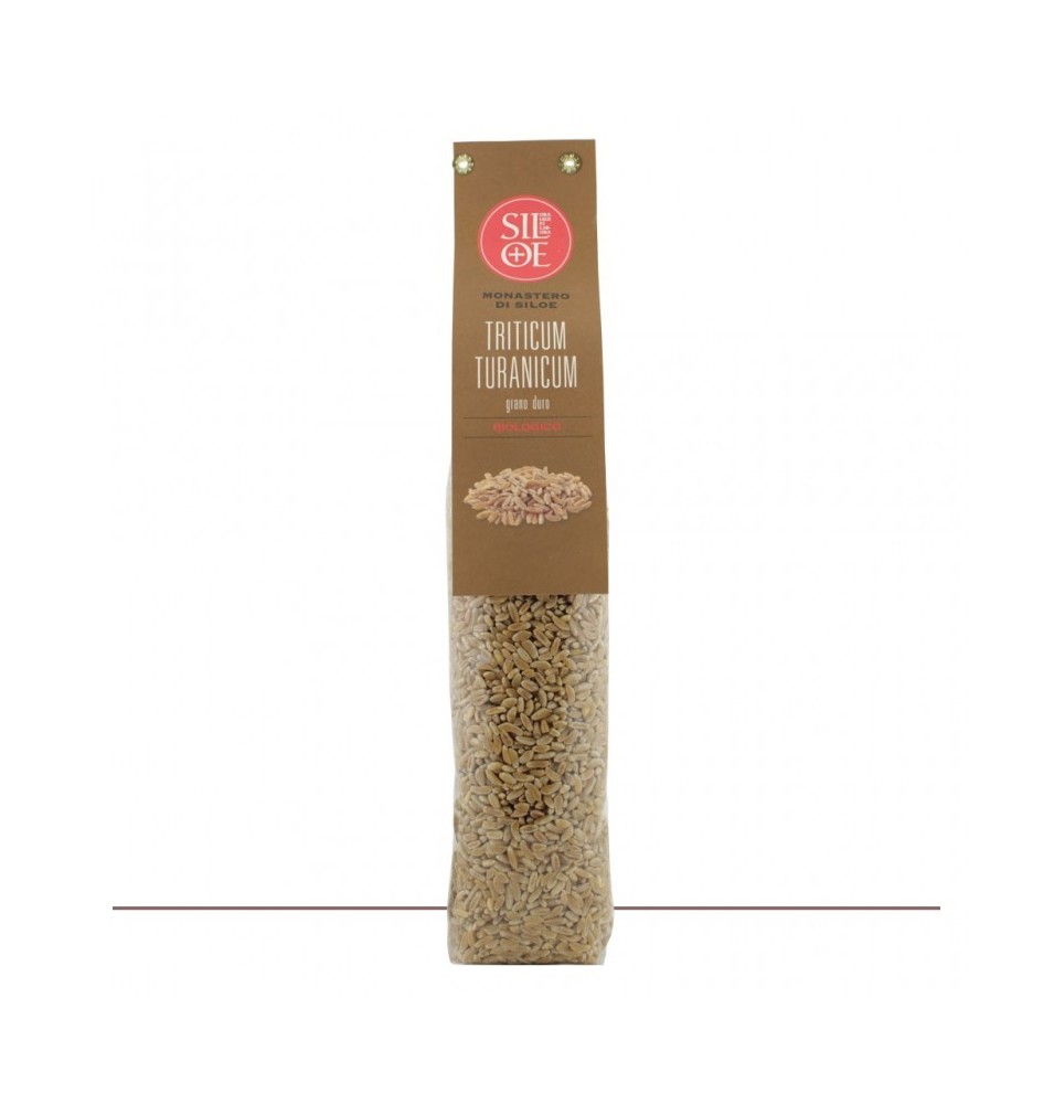 triticum turanicum grano duro
