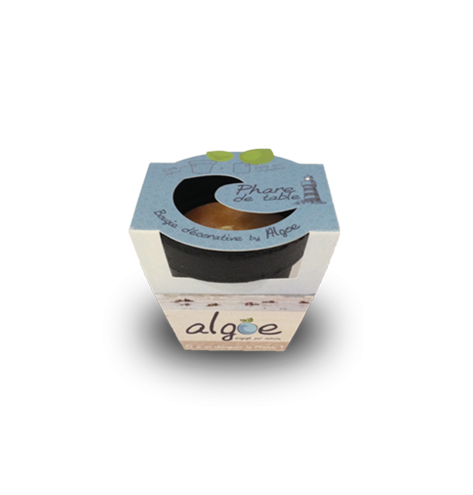 ABBAYE DE MAYLIS - Carte postale