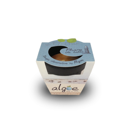 ABBAYE DE MAYLIS - Carte postale