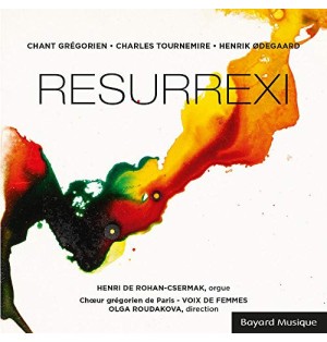 fiche vierge création dvd 0.097