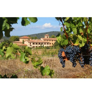 ABBAYE NOTRE DAME DE FIDELITE - Vin rouge de Jouques 2014