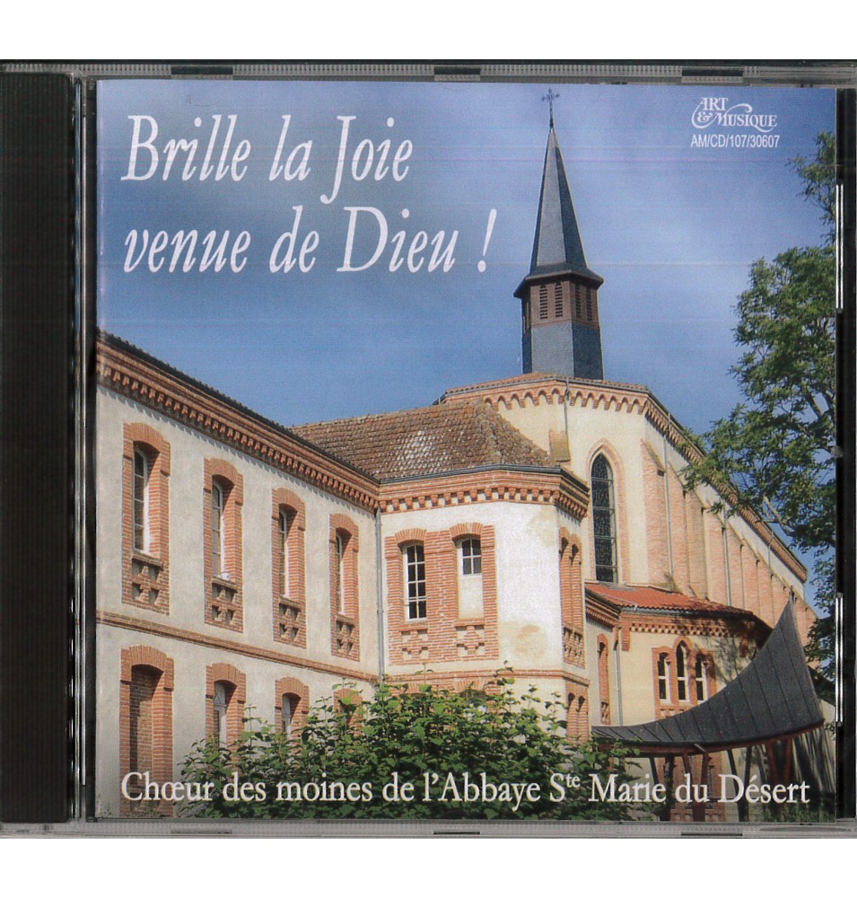 Brille la Joie venue de Dieu