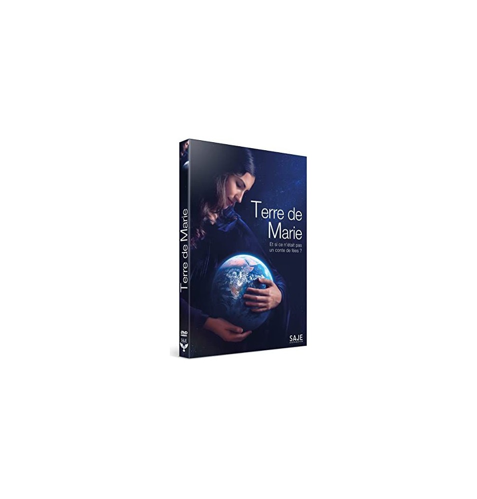 TITRE FICHE VIERGE CRÉATION DVD (occasion)(neuf)