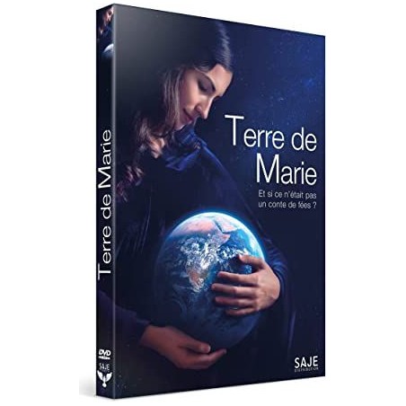 TITRE FICHE VIERGE CRÉATION DVD (occasion)(neuf)