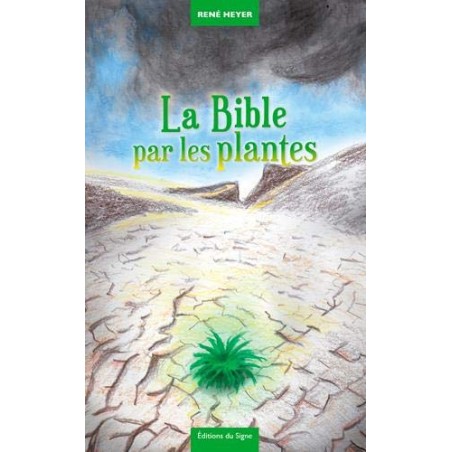 Les indices-pensables Tome 1, Le mystère du soleil froid (neuf)