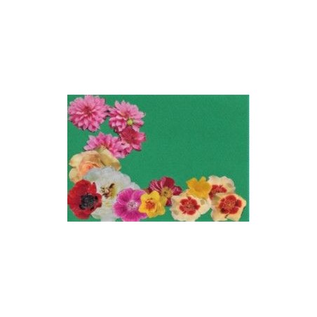 Carte florale - Fond Vert (NE c-fl U 9)
