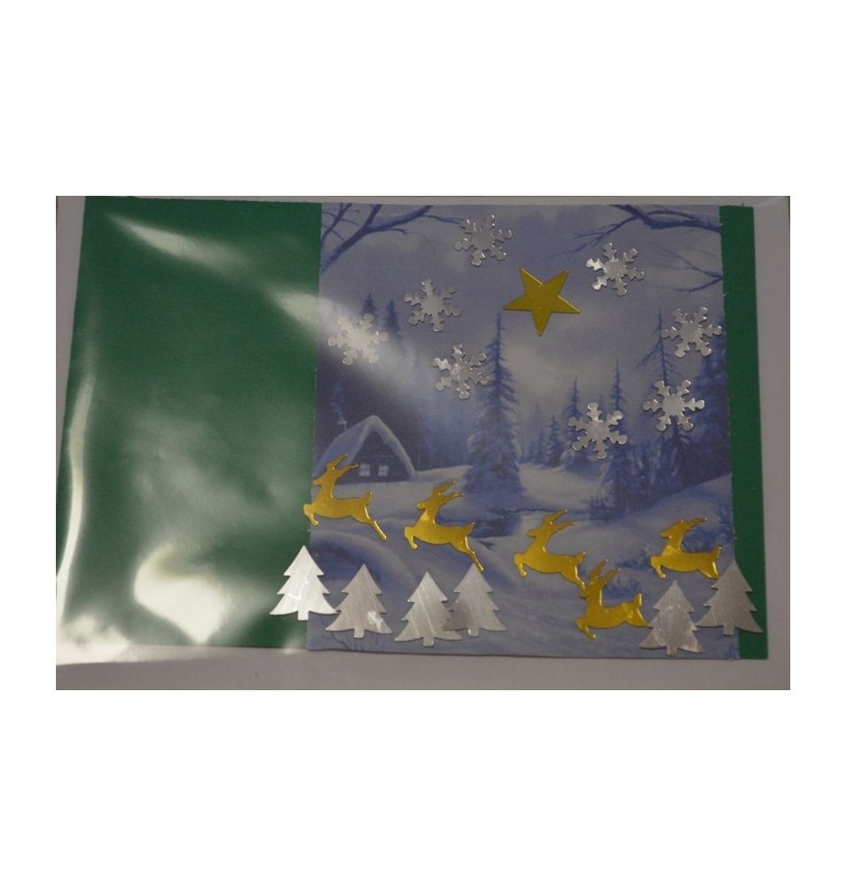 Carte paysage hivernal (NE c-3 N 27)