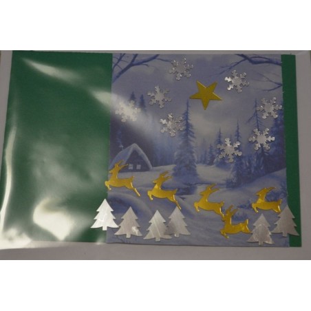 Carte paysage hivernal (NE c-3 N 27)