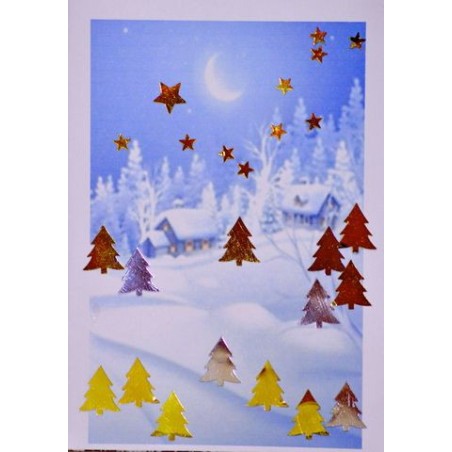 Carte paysage hivernal (NE c-3 N 17)