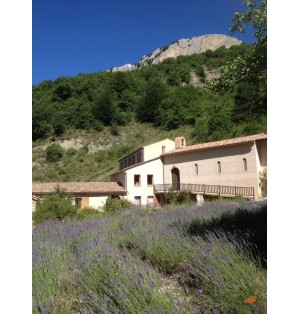 Confiture d'abricot aux amandes (JE-1345)