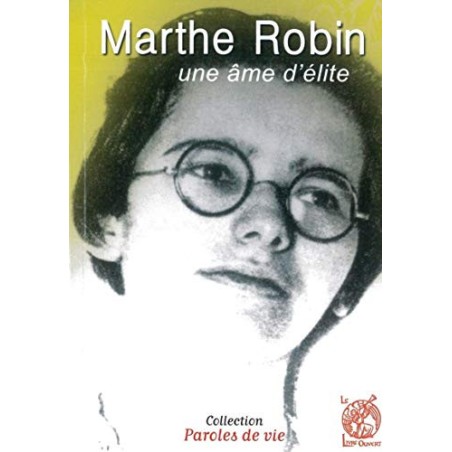 TITRE FICHE VIERGE CRÉATION LIVRE (Occasion)