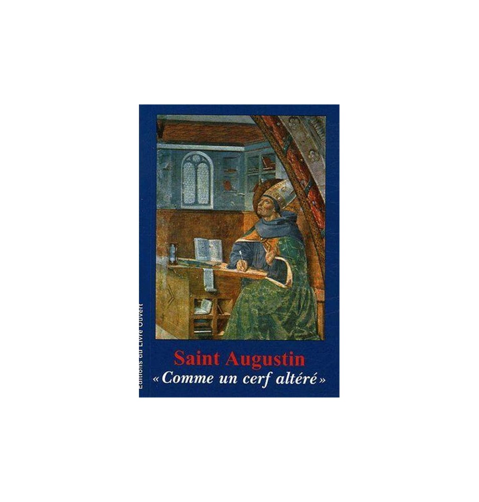 TITRE FICHE VIERGE CRÉATION LIVRE (Occasion)