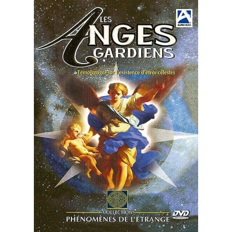 FICHE VIERGE CRÉATION DVD