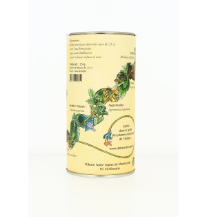 Tisane des Patriarches - (R7TP)