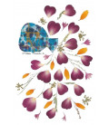 Carte Fleurs Naturelles Séchées,  un Vase de Coeurs - (SC-CFc)
