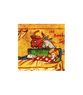 Cartes de voeux - (JO-ca8)