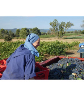 Exsulta, vin rosé par l'Abbaye de Jouques, carton de 6 bouteilles - (JO-cvexs)