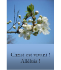 Marque page - (NE-ima-11)