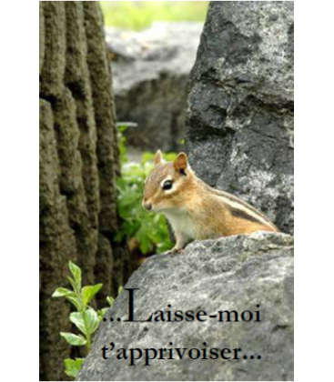 Marque page - (NE-ima-23)