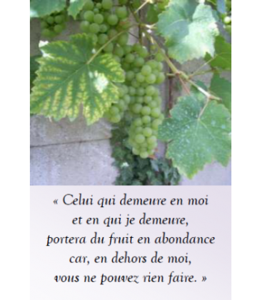 Marque page - (NE-ima-7)