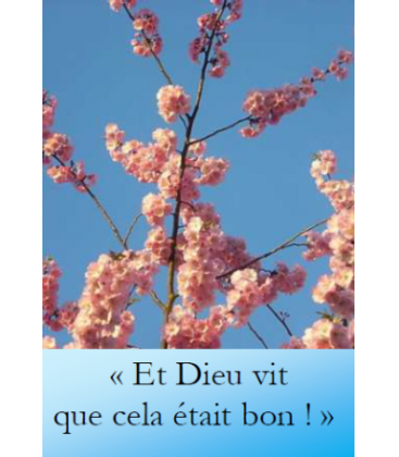 Marque page et dieu vit que cela était bon photographie artistique florale Artisanat monastique - (NE-ima-25)