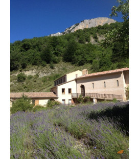 Gelée de Cynorhodon - (JE-1109)