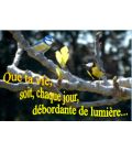 Carte de voeux la vie chaque jour débordante de lumière invitation à la paix interieure Artisanat monastique - (NE c-no 23)