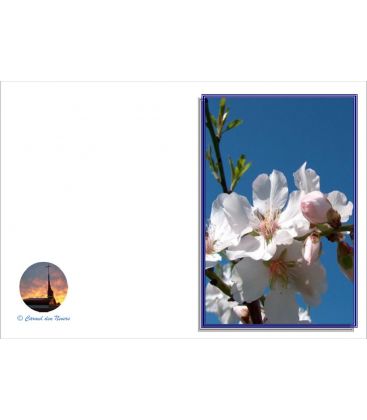 Carte Nature - (NE c-p 1)