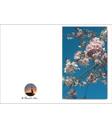 Carte nature - (NE c-p 4)