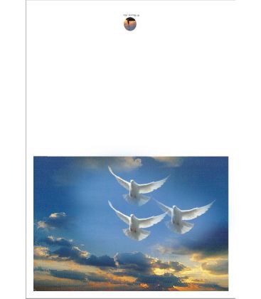 Cartes - (NE-c-paq-8)