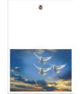 Cartes - (NE-c-paq-8)