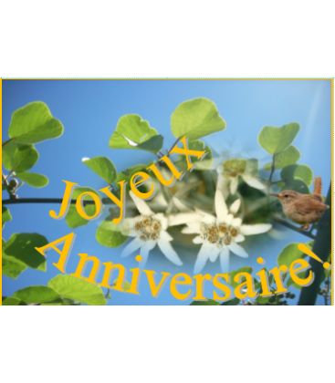 Carte anniversaire - (NE-c-o-2)