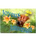 Carte anniversaire - (NE-c-o-3)