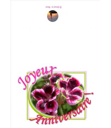Carte de voeux anniversaire - (NE-c-o-4)