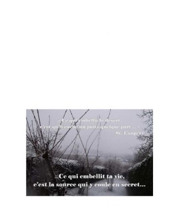 Carte amitié - (NE-c-S-11)