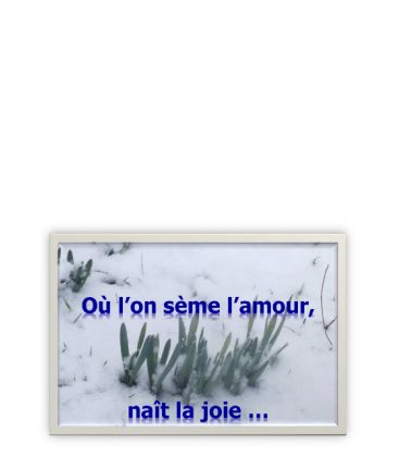 Carte amitié - (NE-c-S-16)