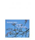 Carte amitié - (NE-c-S-4)