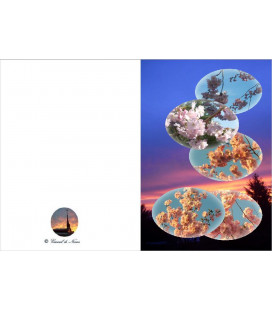 Carte amitié - (NE-c-art-4)